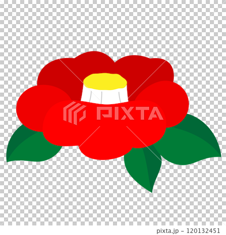 つばき、一輪、単品のイラスト 120132451