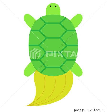 長寿のかわいい亀 長寿のかわいい亀 120132462