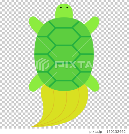 長寿のかわいい亀 長寿のかわいい亀 120132462