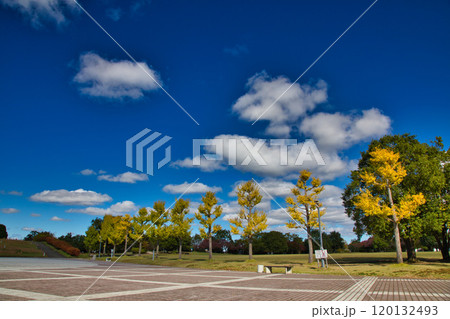 青空に映えるハートピア春江 120132493