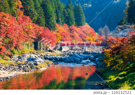 香嵐渓(秋) 香嵐渓(秋) 120132521