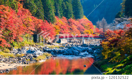 香嵐渓(秋) 香嵐渓(秋) 120132522