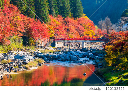 香嵐渓（秋） 120132523