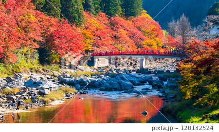 香嵐渓（秋） 120132524