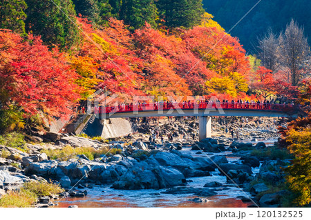 香嵐渓（秋） 120132525