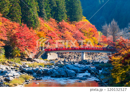 香嵐渓（秋） 120132527