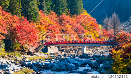 香嵐渓(秋) 香嵐渓(秋) 120132528