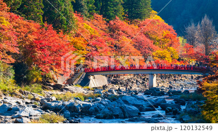 香嵐渓(秋) 香嵐渓(秋) 120132549