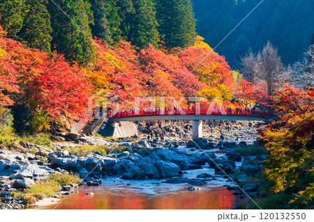 香嵐渓（秋） 120132550