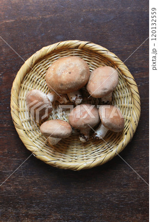 カゴの中の椎茸 カゴの中の椎茸 120132559