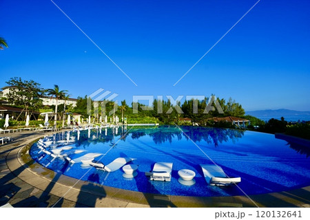 プールに映るヤシの木 120132641