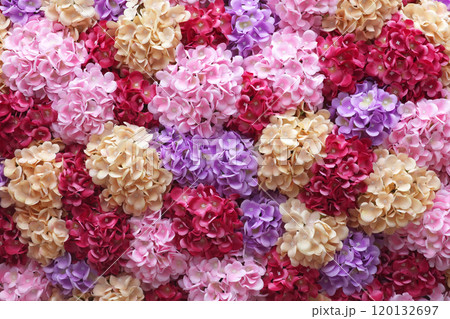 香港で撮影した造花・ホンコンフラワー 香港で撮影した造花・ホンコンフラワー 120132697