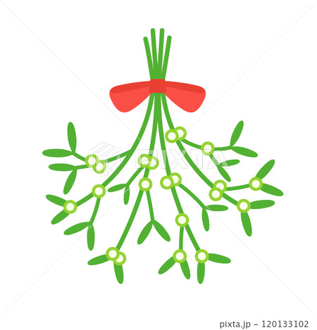 クリスマスのヤドリギのイラスト クリスマスのヤドリギのイラスト 120133102