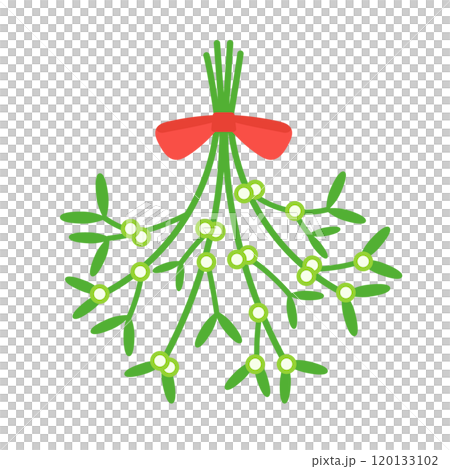 クリスマスのヤドリギのイラスト クリスマスのヤドリギのイラスト 120133102