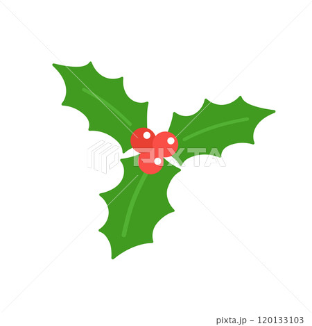 ヒイラギのイラスト　クリスマス 120133103