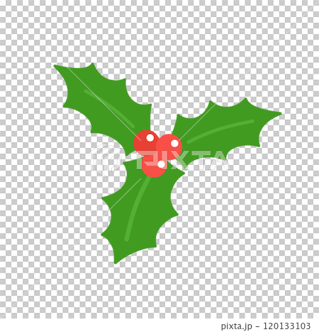 ヒイラギのイラスト　クリスマス 120133103