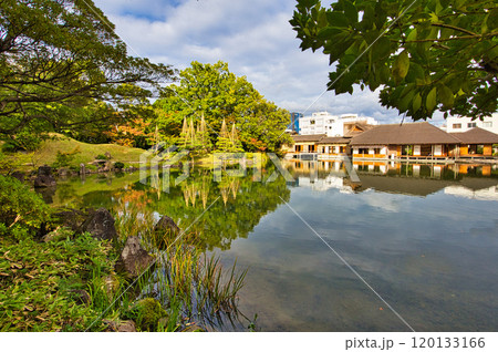 　養浩館庭園の雪吊り風景 120133166