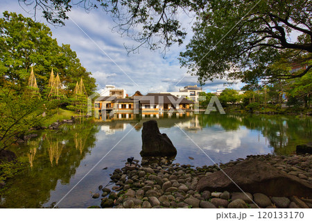 　養浩館庭園の雪吊り風景 120133170