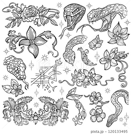 Hand drawn design set with line art illustrations of the snake - symbol of the year according to eastern horoscope, vicotrian patterns and flowers. Doodle artworks with esoteric and mystic concept 120133495