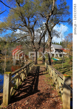 神秘的紅葉風景　鶴巻池　 120133563