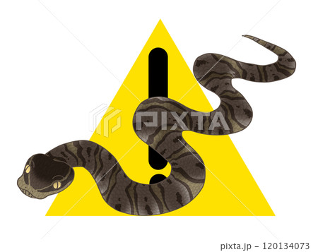 危険生物マムシがいる事を警告するイラスト 120134073