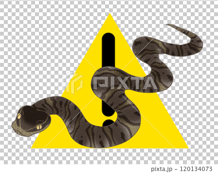 危険生物マムシがいる事を警告するイラスト 120134073