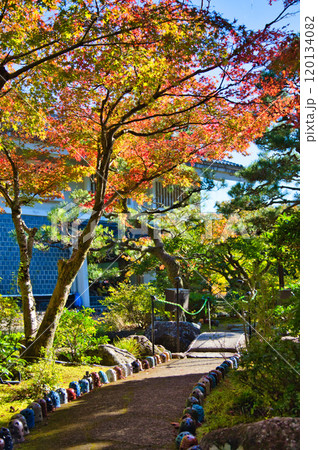 カラフル陶キャンドル・越前陶芸村の秋 カラフル陶キャンドル・越前陶芸村の秋 120134082