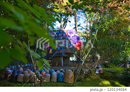 カラフル陶キャンドル・越前陶芸村の秋 120134084
