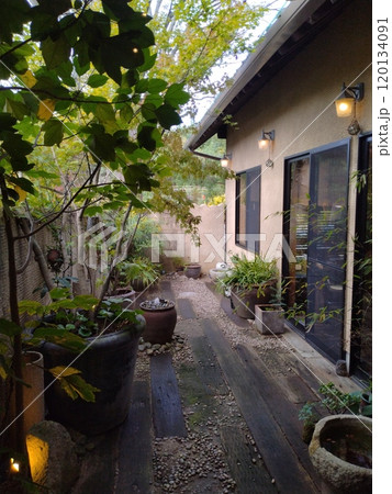 南国の植物がある家 南国の植物がある家 120134091