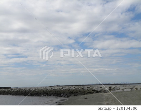 検見川浜で見る青い空と白い雲 120134500