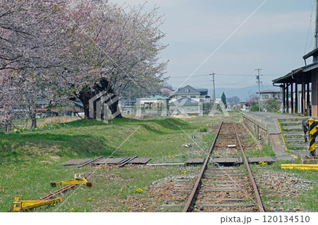 廃線　廃駅と櫻 120134510