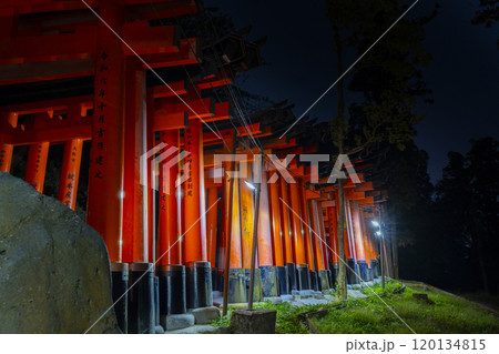 夜の伏見稲荷大社　千本鳥居 120134815