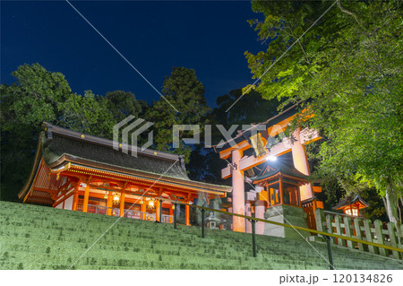夜の伏見稲荷大社 奥宮 夜の伏見稲荷大社 奥宮 120134826
