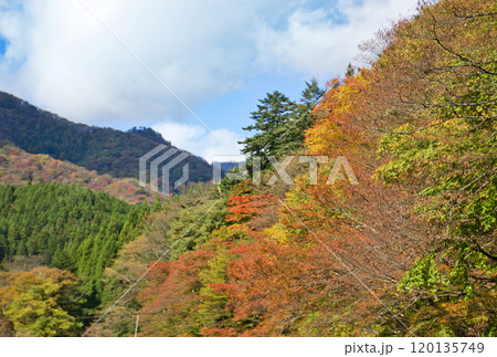 紅葉した山 紅葉した山 120135749