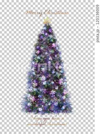 クリスマスツリーのポストカード クリスマスツリーのポストカード 120136009