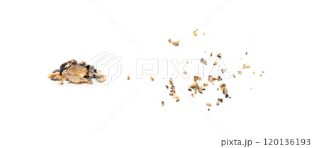Truffle Slices Isolated, Tuber Melanosporum Mushroom Pieces in Oil, Canned Black Truffle 120136193