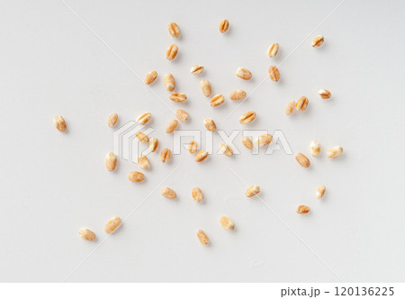 Wheat Grains, Barley Pile, Dry Cereal Seeds, Wheat Grains Heap on White Wheat Grains, Barley Pile, Dry Cereal Seeds, Wheat Grains Heap on White 120136225
