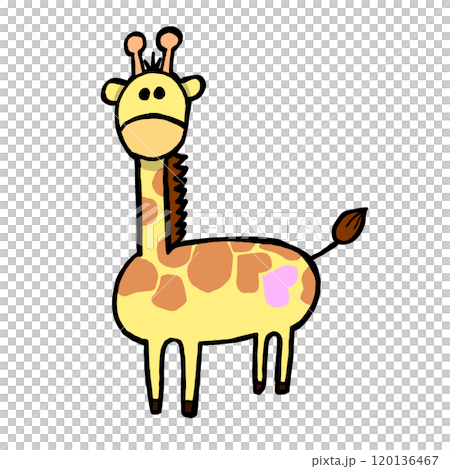 cute giraffe cute giraffe 120136467
