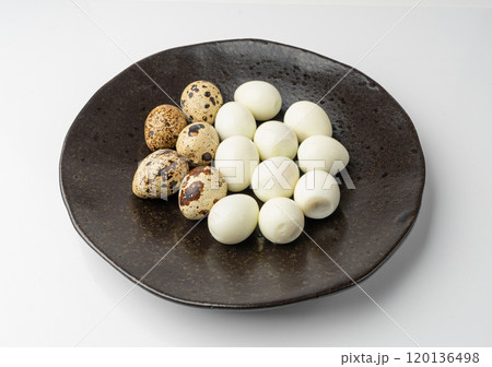 Quail Eggs, Diet Egg, Healthy Breakfast, Natural Organic Nutrition, Salad Ingredient Spotted Quail Egg Quail Eggs, Diet Egg, Healthy Breakfast, Natural Organic Nutrition, Salad Ingredient Spotted Quail Egg 120136498