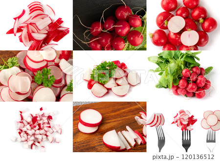 Radis mix, red radish root collage, cuts, diced red radishes closeup, sliced fresh radis root bundle 120136512
