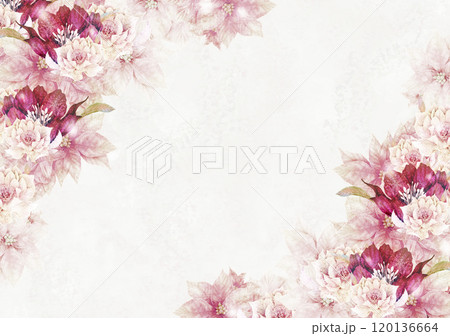 ポインセチアとクリスマスローズのクリスマスフレーム ポインセチアとクリスマスローズのクリスマスフレーム 120136664