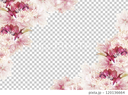 聖誕框架一品紅和聖誕玫瑰 聖誕框架一品紅和聖誕玫瑰 120136664