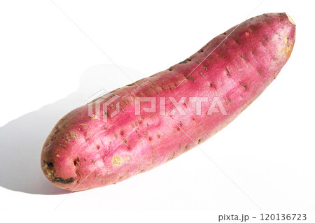 さつまいも（べにゆうか） 120136723