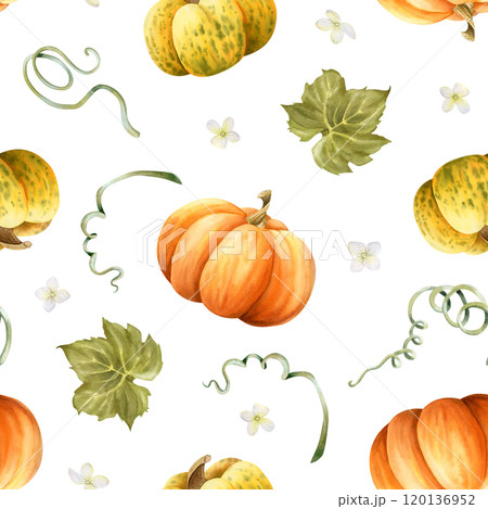 Ripe pumpkins watercolor seamless pattern on white in orange and yellow colors with green leaves and tiny flowers. Hand drawn autumn harvest background for Thanksgiving day greeting designs 120136952