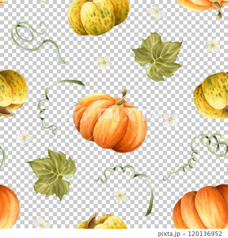 Ripe pumpkins watercolor seamless pattern on white in orange and yellow colors with green leaves and tiny flowers. Hand drawn autumn harvest background for Thanksgiving day greeting designs Ripe pumpkins watercolor seamless pattern on white in orange and yellow colors with green leaves and tiny flowers. Hand drawn autumn harvest background for Thanksgiving day greeting designs 120136952
