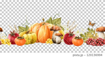 Watercolor fall garden harvest of pumpkins, mushrooms, wheat, pomegranates and rowanberry hand drawn seamless border. Vegetables and fruits crop with butterfly and persimmon in warm autumn colors 120136994