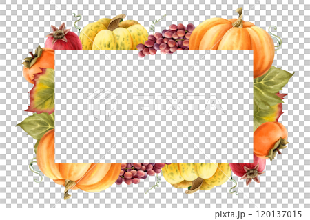 Ripe pumpkins harvest horizontal frame watercolor template for organic autumn food designs. Farm garden vegetables and fruits isolated illustration with copy space. Fall Thanksgiving label design Ripe pumpkins harvest horizontal frame watercolor template for organic autumn food designs. Farm garden vegetables and fruits isolated illustration with copy space. Fall Thanksgiving label design 120137015