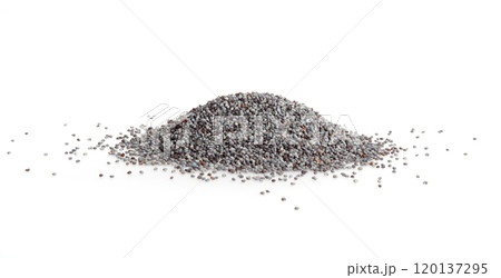 Poppy Seed, Blue Poppyseed Pile, Small Culinary Grains, Tiny Seeds, Oilseed Sprinkles Poppy Seed, Blue Poppyseed Pile, Small Culinary Grains, Tiny Seeds, Oilseed Sprinkles 120137295