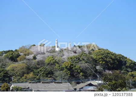 荒尾市　バラ園からの風景、 120137388