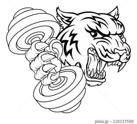 Tiger Weight Lifting Dumbbell Gym Animal Mascot Tiger Weight Lifting Dumbbell Gym Animal Mascot 120137509